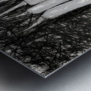 Pepper portrait Metal print