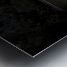 Female Auto Mechanic Metal print