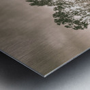 Through fields aplenty Metal print