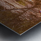 Rugged falls Metal print