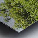 Rainforest rapids Metal print