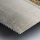 Rocky capes and rugged coasts Metal print