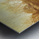 Coal River Richmond Metal print