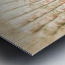 Macro marine minimalism Metal print