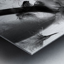 Harellucination Metal print