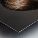 Speak No Evil Metal print