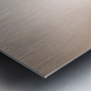 Tropical Butterfly Metal print