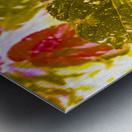 Forest of leafy hues Metal print