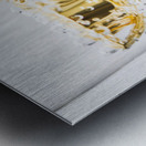 Melbourne cup winners trophy Metal print