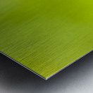 Tropical exotics Metal print