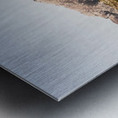 Wild mountain range Metal print