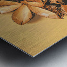 Setting seeds Metal print