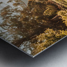 Meadows and mountains Metal print