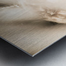 Dreamy eyes through wicker lines Metal print