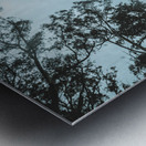 Midnight Canopy Metal print