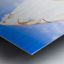 Summer Surfing Woman Metal print