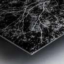 Of a elaborate design Metal print