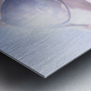 Vacation Reflections Metal print