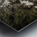 Tasmania wild Metal print