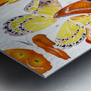 Summers design Metal print