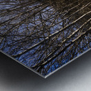 Beautiful roads in winters shadow Metal print