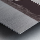 Pelican panorama Metal print