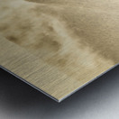 Western woodlands Metal print