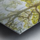 Island Avenue Metal print