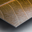 Natures intricacies Metal print