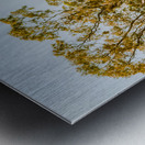 Quaint country view Metal print