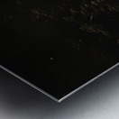 Beauty in dilapidation Metal print