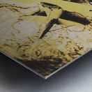 Antique Biplane On Old Map Metal print