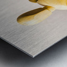 Brewista Metal print