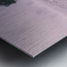 New South Wales foggy meadow Metal print