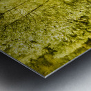 Jungle steams Metal print