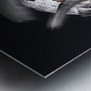 Escape the fate Metal print