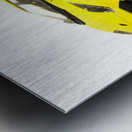 Long Lambo Lineup  Metal print