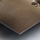 Dark horror landscape of a creepy haunted forest Metal print