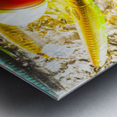 Fisheries and tackle Metal print