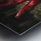Blood Stained Hand Coming Out Of The Ground At Night Metal print