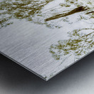 Rustic rural decay Metal print