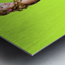 Happy woman in retro dress Metal print