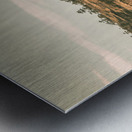 Cranbrook vineyard Metal print