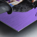 Magician blowing feathers Metal print