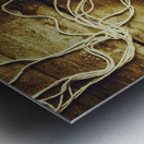 Fall of Troy Metal print