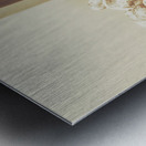 The vine cellar Metal print