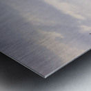 Paradisaical  Metal print