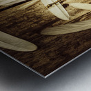 Freedom and independence Metal print