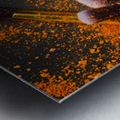 Beauty Dust Metal print