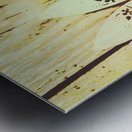 Sixties dreaming Metal print